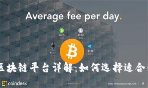 番禺区区块链平台详解：如何选择适合你的项目