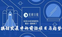 : 区块链发展中的前沿项目