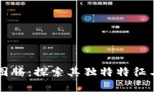 区块链的图腾：探索其独特特征与应用前景