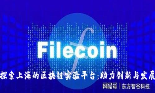 探索上海的区块链实验平台：助力创新与发展