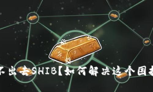 tp钱包转不出去SHIB？如何解决这个困扰你的问题