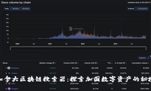 加拿大区块链搜索器：探索加国数字资产的秘境
