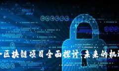 赣州综合区块链项目全面