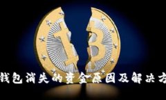 TP钱包消失的资金原因及解