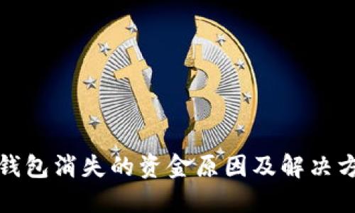 TP钱包消失的资金原因及解决方案