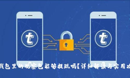 TP钱包里的观察包能够提现吗？详细解读与实用攻略