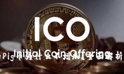 TP钱包中的Pig币为什么不增加？全面解析和解决方案