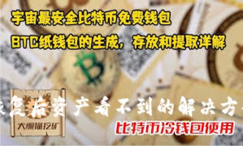 TP钱包恢复后资产看不到的解决方案与指导