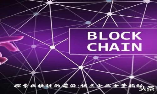 探索区块链的前沿：试点企业全景揭秘