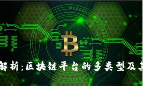 全面解析：区块链平台的多类型及其应用