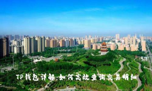 TP钱包详解：如何高效查询交易明细