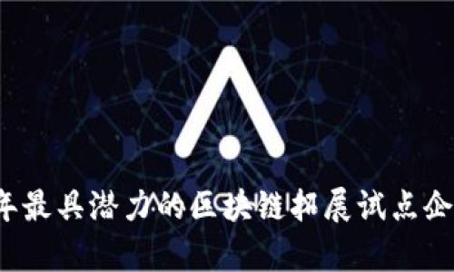 2023年最具潜力的区块链拓展试点企业分析