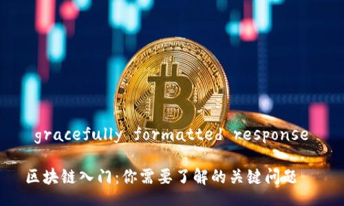 gracefully formatted response 

区块链入门：你需要了解的关键问题