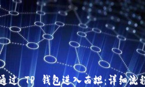 
如何通过 TP 钱包进入西坦：详细流程指南
