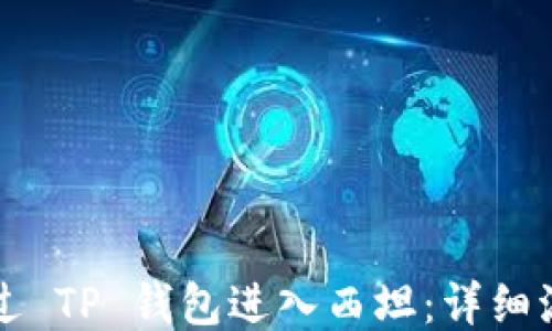 
如何通过 TP 钱包进入西坦：详细流程指南
