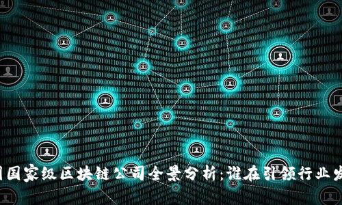 中国国家级区块链公司全景分析：谁在引领行业发展？