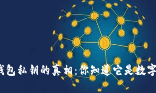 tp钱包私钥的真相：你知道它是数字吗？