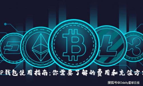 TP钱包使用指南：你需要了解的费用和充值方式