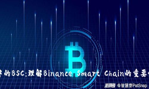 TP钱包中的BSC：理解Binance Smart Chain的重要性与应用