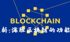 全面解析：海豚区块链的