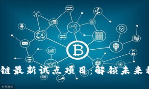2023年区块链最新试点项目：解锁未来科技的新篇章