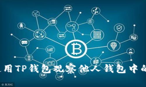 如何使用TP钱包观察他人钱包中的资产？