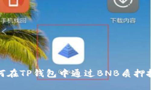 如何在TP钱包中通过BNB质押挖矿