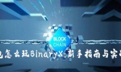TP钱包怎么玩BinaryX：新手