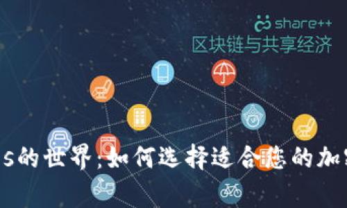 探索TP钱包Bags的世界：如何选择适合您的加密资产存储方案