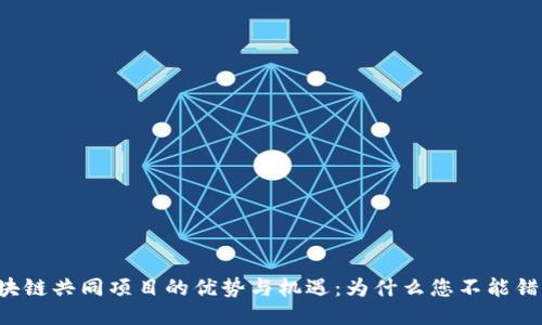 区块链共同项目的优势与机遇：为什么您不能错过？