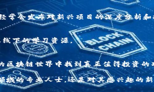   探秘区块链项目资料：全面了解新兴数字技术 / 
 guanjianci 区块链项目, 区块链技术, 数字货币, 去中心化 /guanjianci 

什么是区块链项目？
在当今快速发展的数字经济中，区块链技术无疑是一个令人瞩目的话题。你是否曾想过，区块链项目为何能够在各个领域引起如此巨大的关注？从金融服务到供应链管理，区块链技术的应用范围几乎可以说是无处不在。

区块链项目是指那些基于区块链技术的特定应用、平台或网络。它们利用去中心化、透明性和安全性的特性，努力解决传统系统中的一系列问题。因此，对于普通投资者或对技术感兴趣的人来讲，了解区块链项目的资料是非常重要的。

区块链项目的分类
要深入了解区块链项目，我们首先需要了解它们的分类。区块链项目通常可以分为以下几类：
ul
    listrong公共区块链/strong：例如比特币 (Bitcoin) 和以太坊 (Ethereum)，任何人都可以参与，不存在中心化控制。/li
    listrong私有区块链/strong：这些项目通常受到特定组织的控制，适合企业内部使用。/li
    listrong联盟区块链/strong：由多个组织共同管理，适用于跨企业合作。/li
    listrong应用层项目/strong：为特定行业或用户提供服务，例如去中心化金融 (DeFi) 或不可替代代币 (NFT)。/li
/ul

区块链项目资料的主要组成部分
区块链项目的资料通常包含多个重要组成部分，下面我们逐个分析：

h41. 项目白皮书/h4
白皮书是一个区块链项目的核心文件，详细讲述项目的背景、目标、技术细节和市场策略。白皮书不仅是投资者评估项目的重要依据，也是团队透明度的体现。你是不是也曾下载过几份白皮书，试图找到那些值得投资的宝藏项目？

h42. 技术文档与代码库/h4
很多区块链项目，特别是开源项目，都会在平台上发布技术文档和代码库。通过GitHub等平台，开发者可以查看项目的源代码，了解其技术架构和实现细节。这些资料对于投资者评估项目的技术可行性至关重要。

h43. 拓展与合作伙伴信息/h4
区块链项目的可行性受其合作伙伴的影响。一个成功的项目往往会与其他企业、机构或开发团队建立战略伙伴关系。通过这些合作，项目可以在技术和市场推广方面实现更大的突破。

h44. 团队信息/h4
区块链项目的背景团队是决定其市场表现的一大关键因素。项目团队的构成、背景和行业经验，都会影响投资者对项目的信心。在查阅资料时，我们应尤其关注团队成员的履历和他们在区块链领域的专业性。

如何评估区块链项目的潜力
在我们获取和分析区块链项目资料的过程中，一个重要的问题便是如何评估这些项目的潜力。我们可以从以下几个方面来考量：

h41. 市场需求/h4
首先，我们要考虑项目解决了什么样的市场需求。市场是否存在痛点？这项技术是否能够有效地满足用户的需求？如果没有真实的用户需求支持，项目的可持续性就会受到质疑。

h42. 技术实力/h4
其次，项目的技术实力是一项不可忽视的指标。区块链项目的技术架构是否先进，是否能够支持大规模应用？技术的独特性和实施的可行性都是需要关注的焦点。

h43. 社区支持/h4
区块链技术鼓励去中心化和开放式的社区。因此，项目的社区支持和参与度在一定程度上反映了该项目的活力。你是不是也发现，一个活跃的社区可以吸引更多的开发者和用户？

h44. 竞争分析/h4
每个项目都不会在真空中运作。了解它的竞争对手、同类产品及其在市场中的定位，都是评估一项区块链技术潜力的必要步骤。你是否曾经因竞争者的优势而放弃了某个投资机会？

区块链项目资料获取途径
获取区块链项目的资料并不困难，但需要我们掌握一些有效的方法和渠道：

h41. 官方网站/h4
大多数区块链项目都会有自己的官方网站，提供相关资料和更新。你可以直接在官方网站上找到项目白皮书、技术文档以及团队信息等。

h42. 社交媒体与论坛/h4
区块链项目通常活跃于社交媒体平台和专业论坛，例如Reddit、Twitter等。通过这些渠道，我们可以获取最新的动态和社区反馈。

h43. 媒体分析/h4
寻找一些专注于区块链和数字货币的媒体，及时了解行业动态和项目评测。例如CoinDesk、CoinTelegraph等平台。他们经常会发布对新兴项目的深度分析和报道。

h44. 专业课程与工作坊/h4
参与区块链领域的相关课程和工作坊，能让我们更深入地理解这项技术及其应用。许多教育机构和机构都会提供在线或线下的学习资源。

总结
在了解区块链项目资料的过程中，我们不仅能够获取知识，还能提升自身的独立思考能力。你是不是也希望在纷繁复杂的区块链世界中找到真正值得投资的项目？每一个区块链项目都有其独特的故事和潜力，关心它们，了解它们，或许能够让我们在未来的数字世界中走得更远。

希望通过本文，你能对区块链项目有一个全面而清晰的认识，进而在投资决策时做出更为明智的选择。无论你是区块链领域的专业人士，还是对其感兴趣的新手，了解这些资料都是你迈出成功步伐的第一步。未来的数字世界等待着你来探索与拥抱！