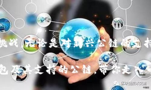    TP钱包支持的公链数量与类型解析  / 

 guanjianci  TP钱包, 公链, 数字货币, 钱包支持  /guanjianci 

 引言 
 随着区块链技术的发展，各种数字货币和公链项目如雨后春笋般涌现，许多用户也开始关注如何更安全、方便地管理他们的数字资产。在这一背景下，钱包的选择显得尤为重要。TP钱包，作为一款广受欢迎的数字货币钱包，因其支持多个公链而受到用户的青睐。那么，TP钱包到底支持多少公链呢？在这篇文章中，我们将深入探讨TP钱包的公链支持情况、特点以及对用户的影响。 

 TP钱包简介 
 TP钱包是一款综合性的数字货币钱包，旨在为用户提供安全、便捷的数字资产管理体验。为了满足日益增长的用户需求，TP钱包不断扩展其支持的公链数量，努力成为用户数字资产生态系统中不可或缺的一部分。 

 TP钱包支持的公链数量 
 TP钱包目前支持多条公链，包括但不限于比特币（BTC）、以太坊（ETH）、波场（TRX）以及币安智能链（BSC）等。换句话说，TP钱包以其多样化的公链支持满足了不同用户的需求。 

 从目前的信息来看，TP钱包支持的公链数量早已超过30条，这些公链覆盖了主流的数字货币，使得用户不仅可以进行简单的存储和转账，还可以参与各种去中心化的金融应用（DeFi）以及去中心化的交易所（DEX）。这让TP钱包成为了一个多功能的平台，适合各种类型的用户。

 TP钱包支持的主要公链解析 
 让我们来看一下TP钱包支持的一些主要公链，以及它们所代表的何种类型的数字货币。

h4 比特币（BTC） /h4
 比特币是第一个成功实现区块链技术的加密货币，广泛被认为是数字货币的“黄金”。作为TP钱包支持的首要公链，比特币为用户提供了安全和便捷的交易体验。使用TP钱包，用户可以随时随地进行比特币的存取款，不受时间和空间的限制。你是不是也这么认为？

h4 以太坊（ETH） /h4
 以太坊是一个开源的区块链平台，以其智能合约的功能而闻名。TP钱包支持以太坊的ERC20代币，使得用户不仅可以存储ETH，还可以管理多样化的代币。这种便捷的功能，使得开发者和投资者都能在TP钱包中找到他们所需的工具。 

h4 波场（TRX） /h4
 波场是一个去中心化的娱乐平台，其背后的技术支持了众多应用程序的开发。TP钱包对波场的支持让其用户可以方便地进行TRX的转账，以及参与波场的去中心化应用（DApp）。这种技术的灵活性和深度无疑赋予了用户更多的操作空间。 

h4 币安智能链（BSC） /h4
 币安智能链是一条兼容以太坊的区块链，致力于提供快速且低费用的智能合约服务。TP钱包的BSC支持让用户可以参与各种DeFi项目和DApp，极大地丰富了用户的投资选择。 

 TP钱包未来的发展方向 
 伴随着区块链技术的快速迭代，TP钱包在未来的发展方向上除了继续增加公链的支持外，还计划加强用户体验和安全性。不知你是否也期待TP钱包能够为我们带来更多惊喜？ 

h4 增加对新兴公链的支持 /h4
 随着新兴区块链项目的出现，TP钱包有很大的潜力去支持更多类型的公链。比如，像Solana、Polygon等新的热门公链，它们具备高效的吞吐量和低交易费用，未来很可能会成为TP钱包的决定性支持对象。 

h4 加强安全性和隐私保护 /h4
 安全性是每个用户最关心的问题之一，TP钱包也在不断安全机制，确保用户数字资产不被盗取。想象一下，如果你的资产得不到保障，生活将会多么不安！ 

 用户体验提升的潜力 
 在提高用户体验方面，TP钱包未来可能会整合更多的功能，比如跨链交换、资产管理工具等。这些功能不仅能帮助用户更好地管理自己的资产，还能提升他们的投资回报率。

 总结 
 在如今这个数字化迅猛发展的时代，TP钱包凭借其对多条公链的支持，确实为用户提供了良好的资产管理体验。随着区块链技术的不断发展，TP钱包可能会迎来新的机遇与挑战。无论是对新兴公链的支持，还是安全性的提升，我们都有理由相信，这款钱包将进一步满足用户的需求。 

 你对TP钱包的未来有什么看法呢？在数字货币的世界里，选择适合自己的钱包至关重要，而TP钱包正是这样一个值得信赖的选择。希望这篇文章能够帮助你更好地了解TP钱包及其支持的公链，带你走入一个更加丰富和多元的数字资产管理新时代！ 