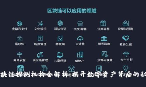 区块链探测机构全解析：揭开数字资产背后的秘密