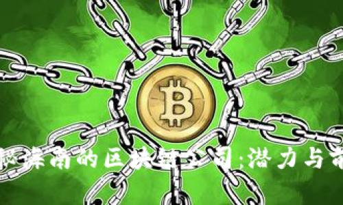 揭秘海南的区块链公司：潜力与前景