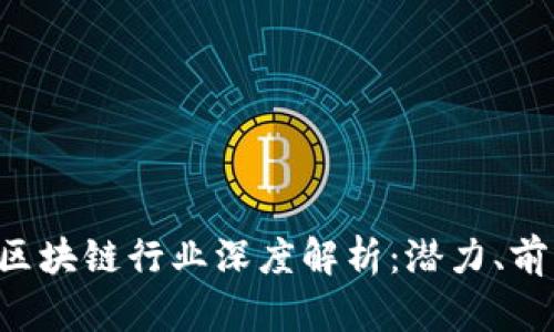 5块以下区块链行业深度解析：潜力、前景与挑战