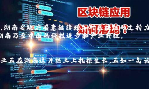 引言
随着科技的不断发展，区块链技术逐渐成为推动社会进步的一股重要力量。许多地方政府意识到区块链的巨大潜力，积极推动本地区块链企业的发展。湖南省作为中国中部地区的重要省份，近年来也在大力扶持区块链技术的发展与应用。那么，湖南资助的区块链企业有哪些呢？本文将对相关情况进行详细介绍。

湖南省区块链产业的背景
湖南省的区块链产业起步相对较晚，但在政策推动和市场需求的双重作用下，逐渐形成了良好的发展环境。政府部门为区块链企业设立了一系列的扶持政策，不仅包括资金资助，还涉及技术支持、场地提供以及税收优惠等。这种政策激励使得越来越多的创业者和企业选择在湖南发展区块链项目。

湖南省区块链企业的类型
在湖南省，区块链企业主要分为几个类型：
ul
    listrong技术服务型企业：/strong这些企业专注于提供区块链技术解决方案，例如区块链平台的搭建、智能合约的开发等。/li
    listrong应用场景型企业：/strong这些企业将区块链应用于不同的行业，如金融、物流、医疗等，通过区块链技术提升行业效率和透明度。/li
    listrong投资与孵化型企业：/strong一些企业和基金专注于投资区块链初创公司，帮助其快速成长。/li
/ul

政府的支持政策
湖南省政府为了促进区块链产业的发展，出台了多项政策。例如，为符合条件的区块链企业提供资金扶持、税收减免、人才引进和培养等措施。这些政策极大地激发了区块链企业的创新活力。
在这样的环境下，许多创业者选择申请政府资金，例如“湖南省科技厅的科技创新项目资助”，该项目旨在推动科技创新和产业升级，区块链企业可以申请相关项目资金支持。

重点扶持的区块链企业
湖南省有一些在区块链领域表现突出的企业，以下是一些重点扶持的区块链公司：

ul
    listrong湖南金链科技有限公司：/strong专注于区块链技术的开发与应用，致力于为各行各业提供专业的区块链解决方案。近年来，该公司获得了政府的多次资金支持和政策扶持。/li
    
    listrong长沙链动科技有限公司：/strong该公司为企业和个人提供基于区块链的金融服务，以解决传统金融体系中的痛点，其产品在市场上取得了良好的反响。/li
    
    listrong湖南优链科技有限公司：/strong专注于区块链技术在供应链领域的应用，通过区块链提高供应链的透明度和效率，受到了政府的关注与支持。/li
    
    listrong湖南省数字经济研究院：/strong虽然不是企业，但该研究院在区块链技术方面具有重要的研究能力，并且为本地企业提供技术支持和政策咨询。/li
/ul

区块链企业所面临的挑战
尽管湖南省的区块链企业发展迅速，但它们仍然面临许多挑战：
ul
    listrong市场认知度不足：/strong区块链技术相对新颖，许多人对其了解不足，这限制了市场需求的扩大，企业的推广和普及工作亟需加强。/li
    
    listrong技术壁垒：/strong区块链技术本身具有一定的复杂性，企业需要不断投入人力物力进行研发，才能在激烈的竞争中占据一席之地。/li
    
    listrong政策法规的滞后：/strong虽然政府出台了扶持政策，但相关的法律法规还有待完善，区块链企业在运营中可能面临合规风险。/li
/ul

未来展望
展望未来，湖南的区块链企业有很大的发展潜力。随着技术的成熟和市场的逐步推进，越来越多的领域将开始接受区块链技术的应用。湖南省政府有意继续增加对区块链的支持力度，培育和引进高端人才，扶持更多具有创新能力的区块链企业。
你是不是也这么认为？未来的科技浪潮中，湖南的区块链企业将成为一股不可小觑的力量。这不仅关乎企业自身的发展，也关乎整个湖南乃至中国的科技进步和产业升级。

总结
湖南省在区块链领域的快速发展离不开政府的积极扶持和企业的努力创新。在政策、技术和市场的共同驱动下，越来越多的区块链企业正在湖南这片热土上扎根生长。正如一句话所说：“只要努力，总会有收获。”让我们期待，湖南的区块链企业在未来能够开创出更辉煌的成就！

湖南资助区块链企业的全景解读