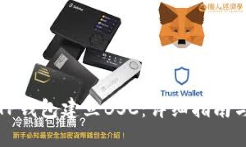 如何使用TP钱包建立BSC：详细指南与实用技巧