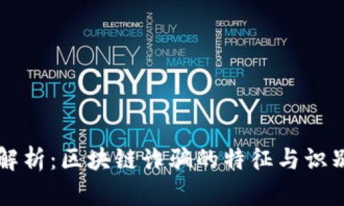 深入解析：区块链诈骗的特征与识别方法