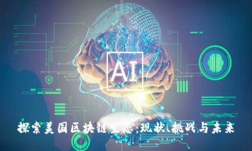探索美国区块链生态：现状、挑战与未来