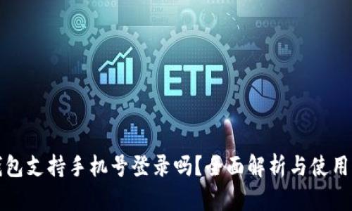 TP钱包支持手机号登录吗？全面解析与使用指南