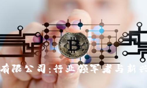探索区块链科技有限公司：行业领军者与新兴企业的全面剖析
