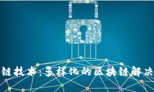 探索区块链技术：多样化的区块链解决方案分析