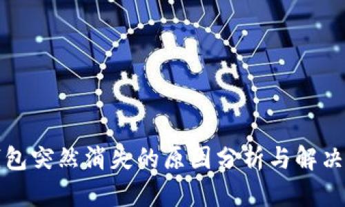 TP钱包突然消失的原因分析与解决方案