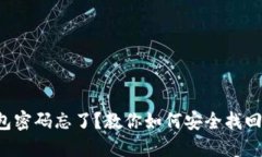 TP钱包密码忘了？教你如何