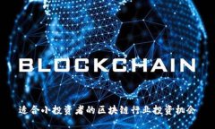 适合小投资者的区块链行