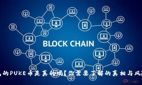 TP钱包的PUKE币是真的吗？你需要了解的真相与风险分析