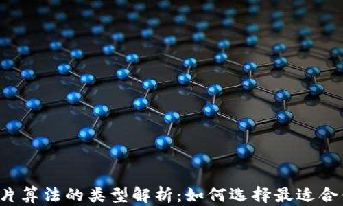 
区块链芯片算法的类型解析：如何选择最适合你的方案？