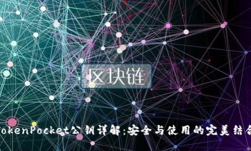 TokenPocket公钥详解：安全与使用的完美结合