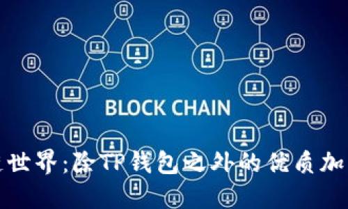 探索区块链世界：除TP钱包之外的优质加密钱包推荐