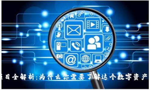 TP钱包项目全解析：为什么你需要了解这个数字资产管理工具